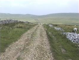 Mastiles Lane continues into the far distance - was this really such a good idea?